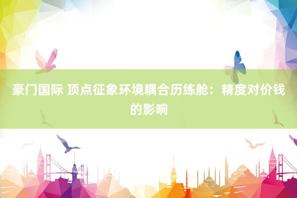 豪门国际 顶点征象环境耦合历练舱：精度对价钱的影响