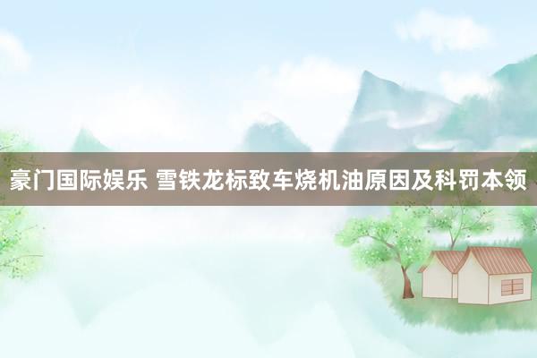 豪门国际娱乐 雪铁龙标致车烧机油原因及科罚本领