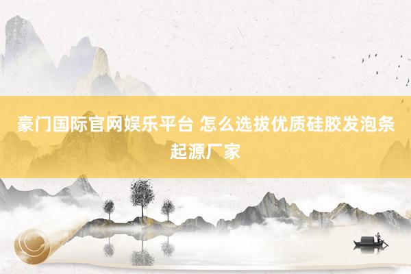 豪门国际官网娱乐平台 怎么选拔优质硅胶发泡条起源厂家