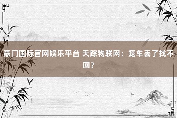 豪门国际官网娱乐平台 天踪物联网：笼车丢了找不回？