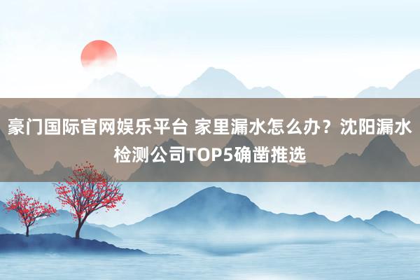 豪门国际官网娱乐平台 家里漏水怎么办？沈阳漏水检测公司TOP5确凿推选
