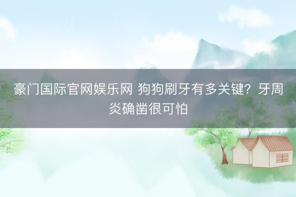 豪门国际官网娱乐网 狗狗刷牙有多关键？牙周炎确凿很可怕