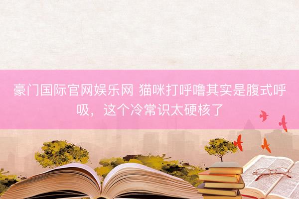 豪门国际官网娱乐网 猫咪打呼噜其实是腹式呼吸，这个冷常识太硬核了