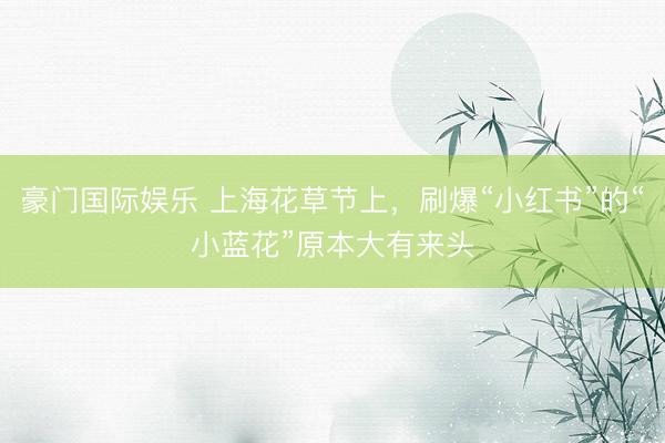 豪门国际娱乐 上海花草节上，刷爆“小红书”的“小蓝花”原本大有来头